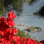 B&B Villa La Camana