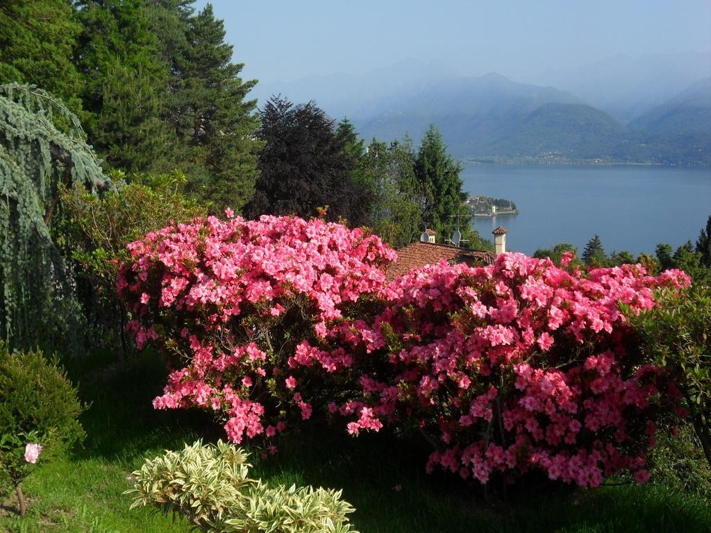 Bed & Breakfast La Camana