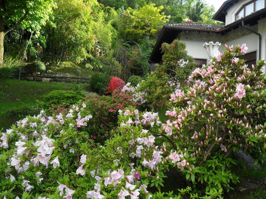 La Camana